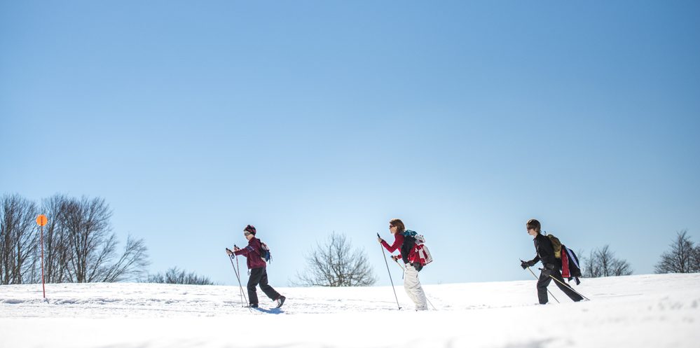 Pass balade saison VEL